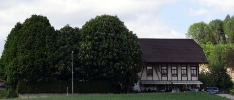 Walliswil b.Niederbipp